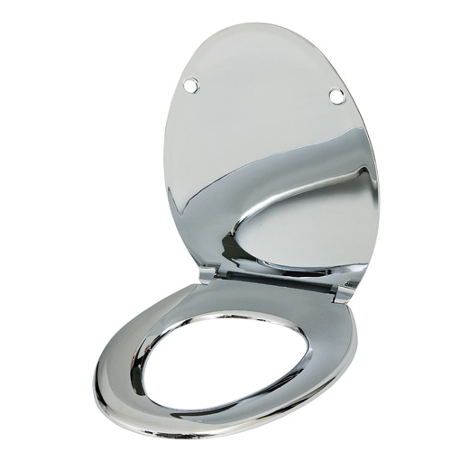 silver toilet seat